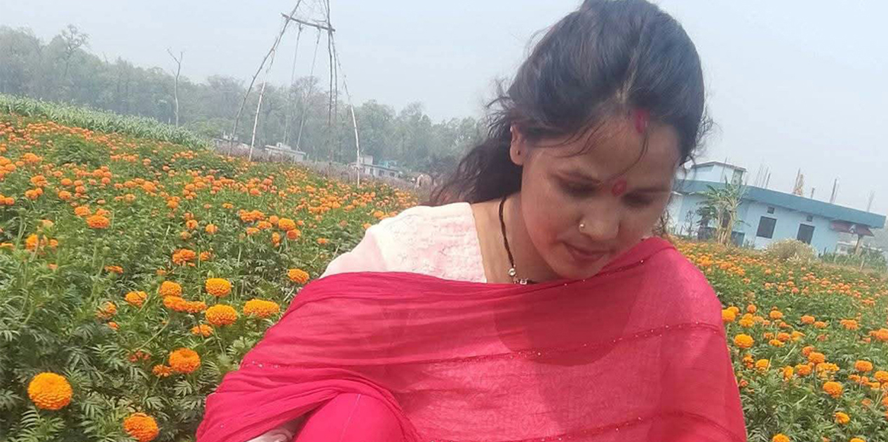 फूल खेतीबाट आत्मनिर्भरसँगै आम्दानी गर्दै धनगढीकी सुशीला