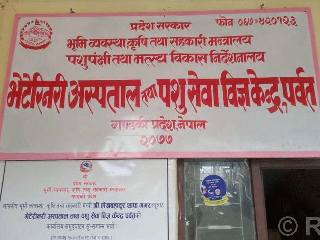 पशुपालक किसानलाई आत्मनिर्भर बनाउन ८० लाख अनुदान