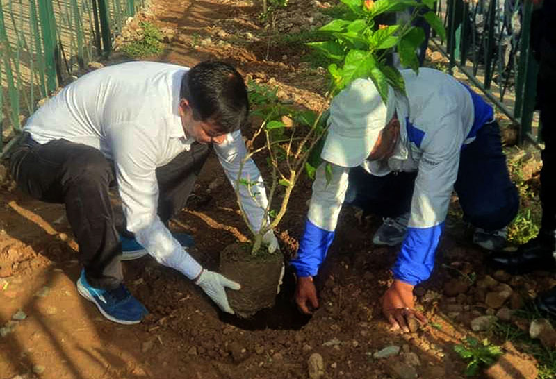 मधेश सरकारले ८६ लाख वृक्षरोपण गर्ने