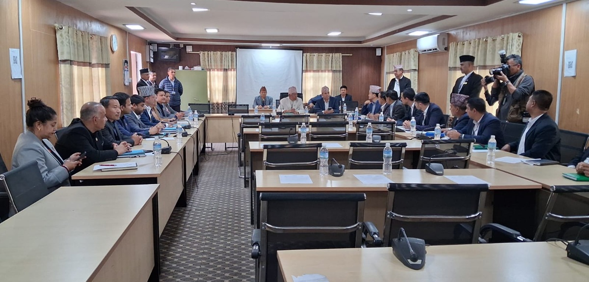 स्वार्थ बाझिने समितिमै सांसदहरू : अर्थ समितिमा बैंकर, पर्यटनमा पूर्वसिइओ