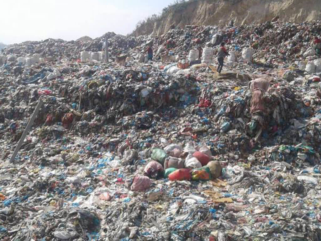फोहरबाट मोहर: व्यासले कमायो १७ लाख