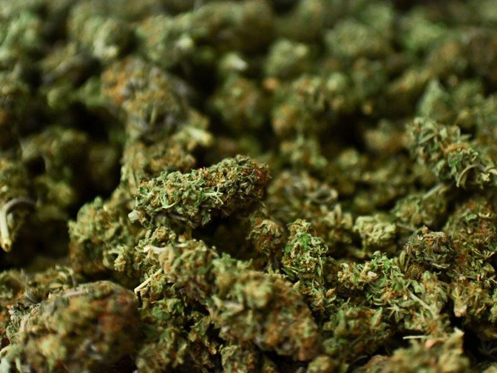 एम्बुलेन्सबाट ५१ किलो गाँजा बरामद