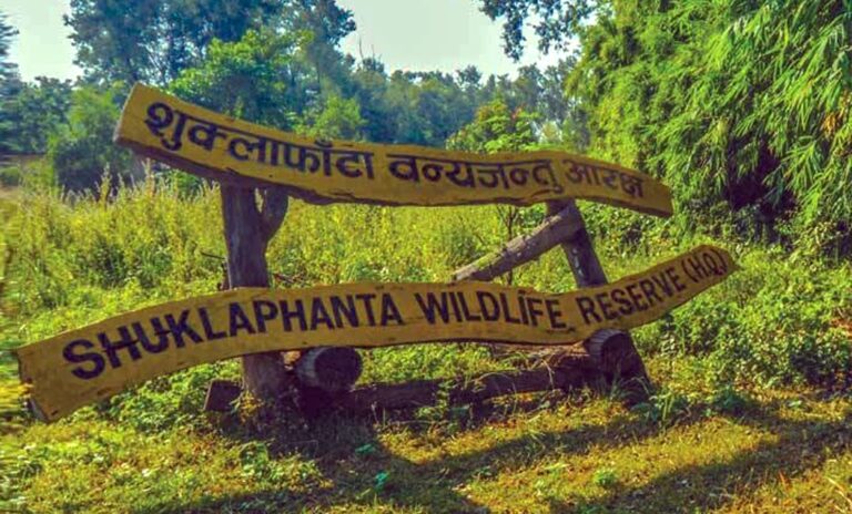 शुक्लाफाँटामा जङ्गल सफारी खुला