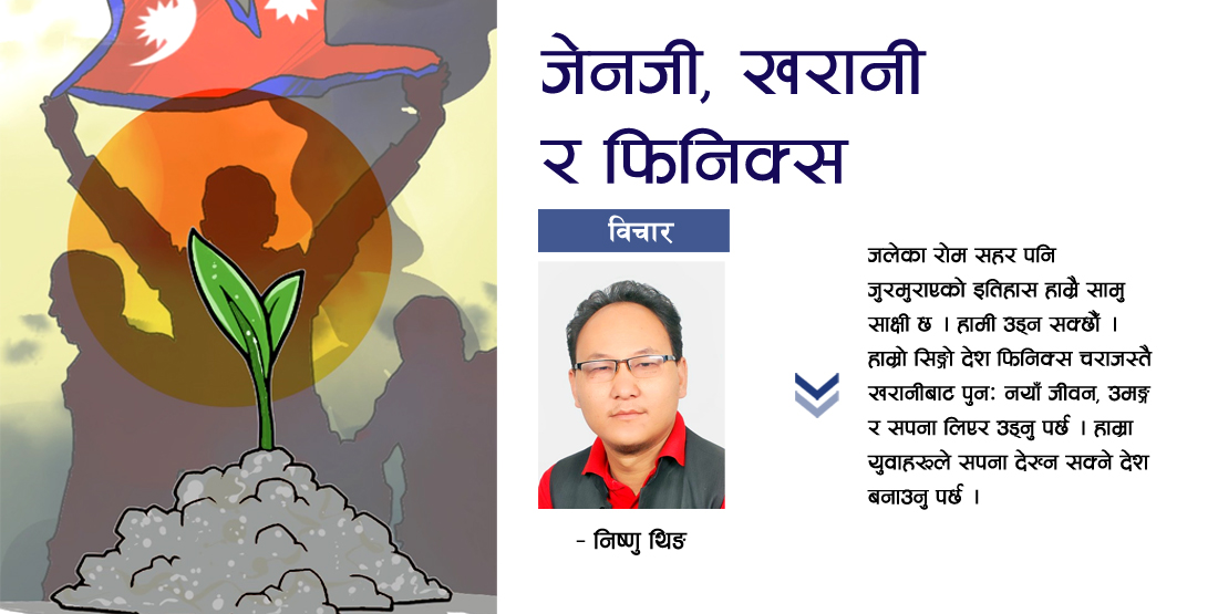 जेनजी, खरानी र फिनिक्स