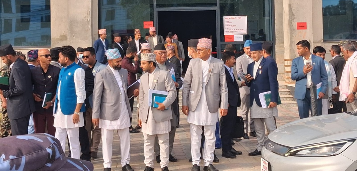 सांसदहरू भन्दै छन्- लौ न स्वकीय चाहियो