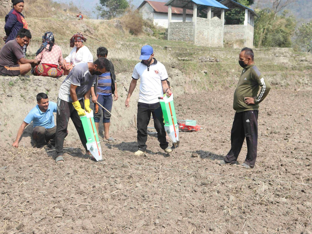 सामूहिक मकै खेती गर्दै ताप्लेजुङका किसान