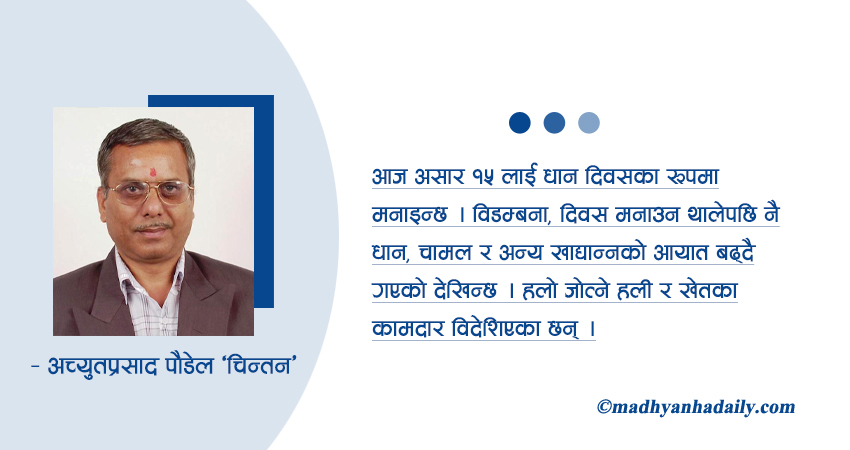 असारको चटारो : रोपाइँ कि राजनीति ?