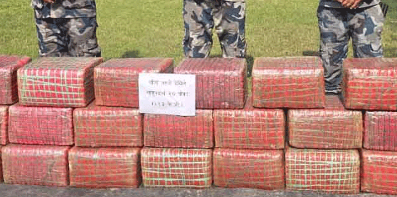पर्सामा सशस्त्र प्रहरीद्वारा २ सय १३ केजी गाँजा बरामद