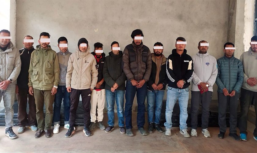 विभागबाट १३ बिचौलिया पक्राउ