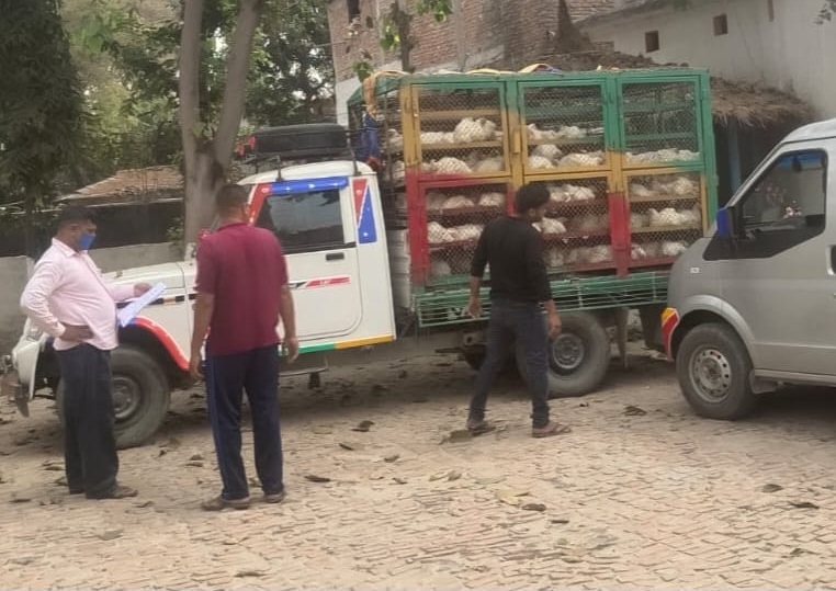 रौतहटमा अवैध भारतीय कुखुरा बरामद, तस्करी नियन्त्रणमा कडाइको माग