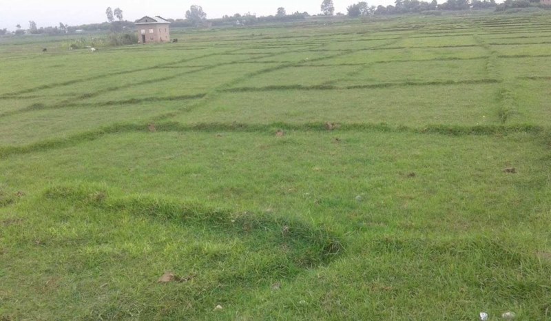 कृषियोग्य जमिन बाँझो राख्न नपाइने