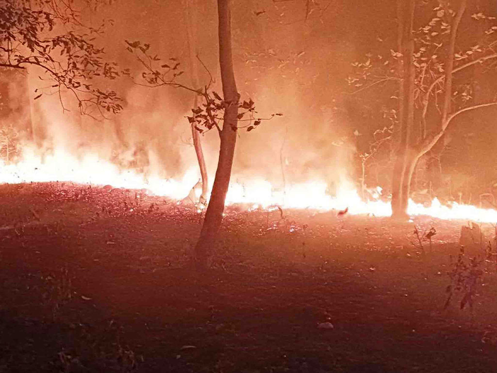 देशभरका नौ जिल्ला डढेलोको उच्च जोखिममा