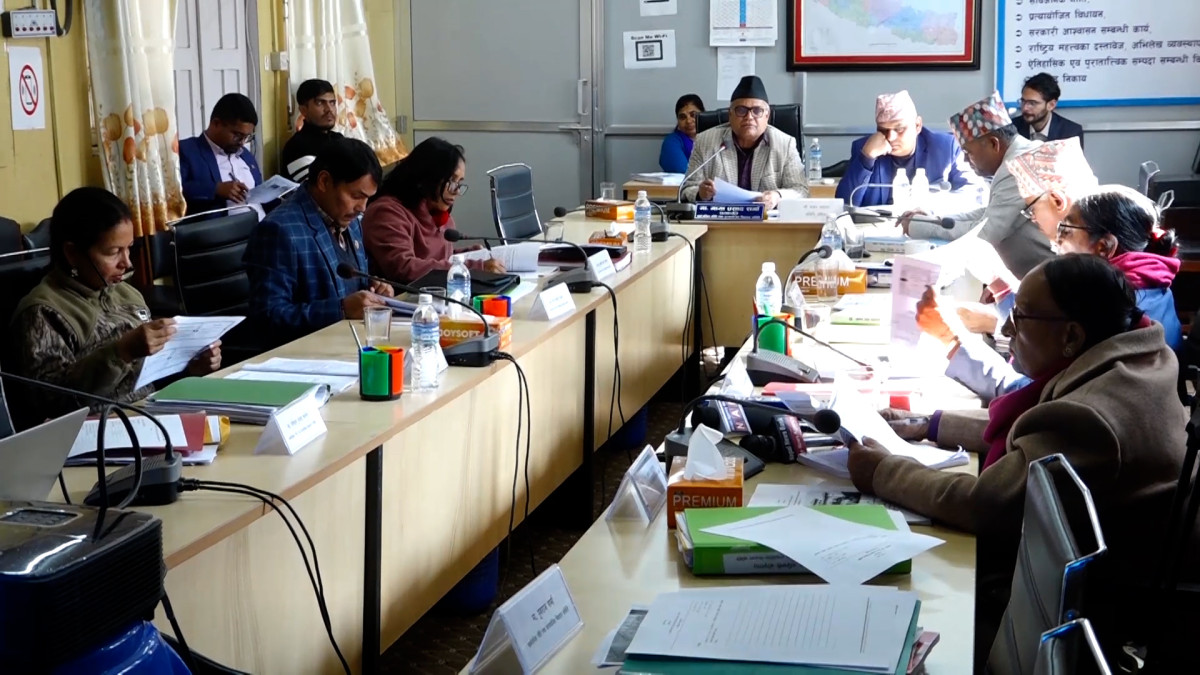 संसदीय समितिले भन्योः अध्यागमनका कर्मचारी गैरजिम्मेवार