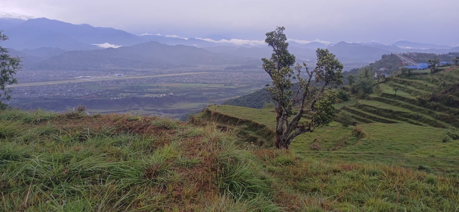 विकास खोज्दा गुम्यो सय रोपनी जग्गा