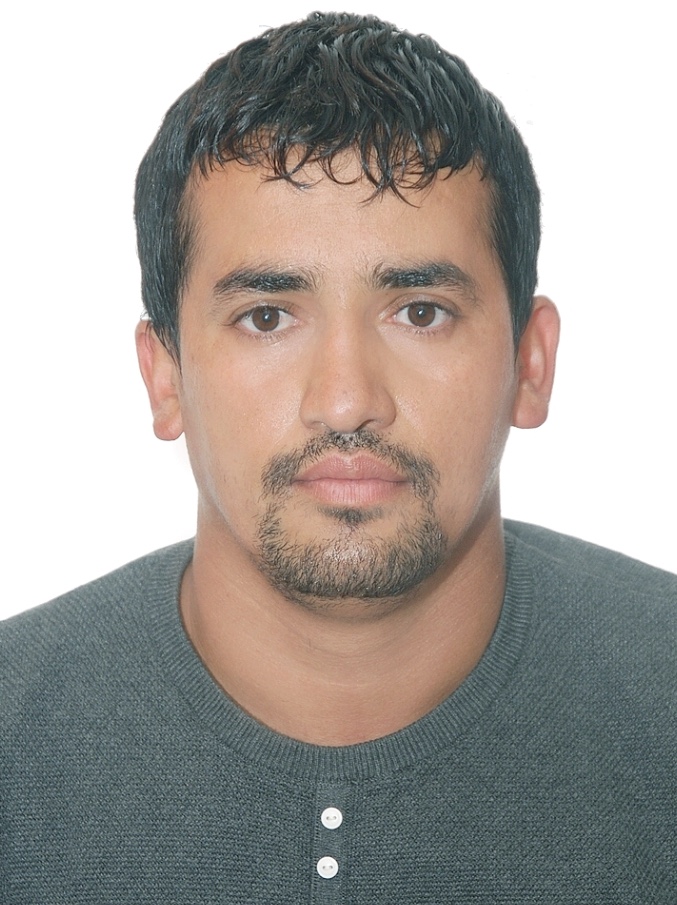 डिजिटल युग र व्यवसायिक साहित्य