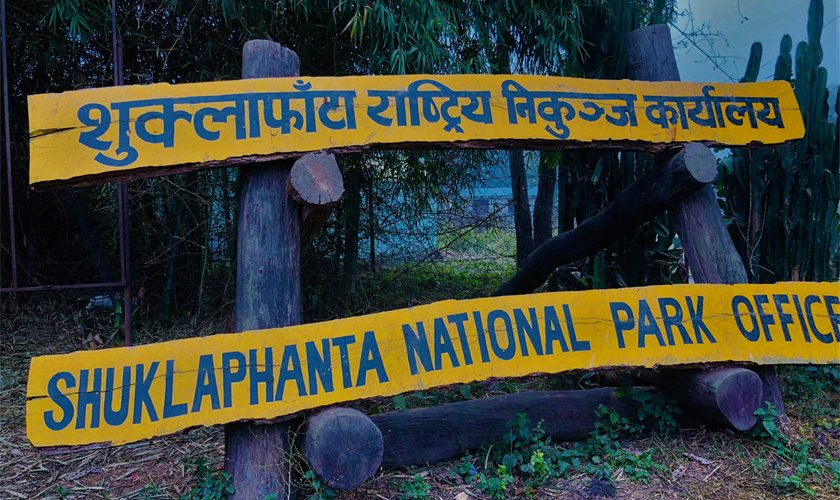 शुक्लाफाँटाबाट विस्थापितका समस्या समाधानको प्रयासमा सरकार