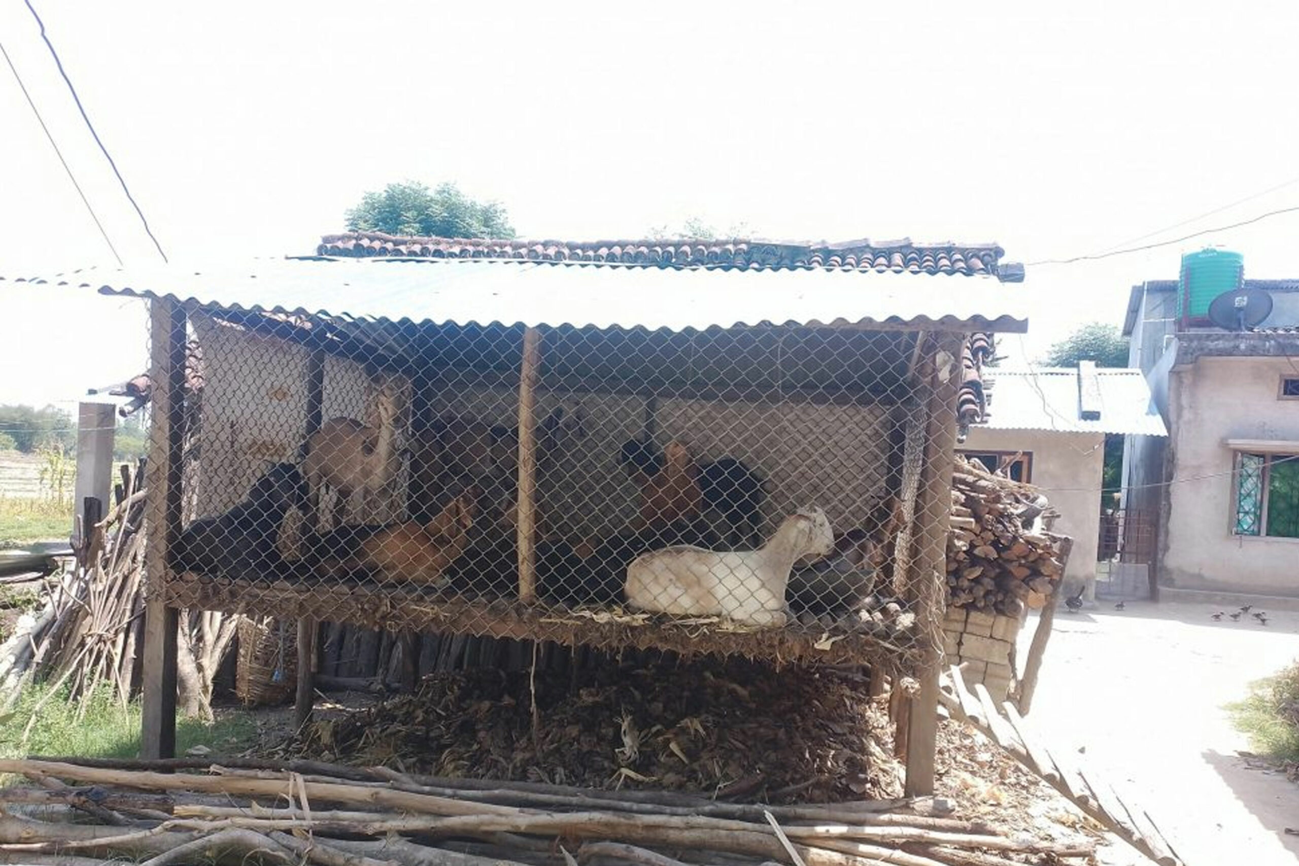 सुरक्षित खोरले निकुञ्ज मध्यवर्ती क्षेत्रका बासिन्दालाई राहत