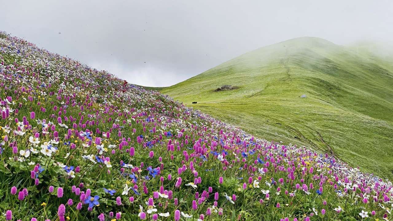 रुकुम पूर्वको चौँरी लेक पर्यटकको रोजाइमा