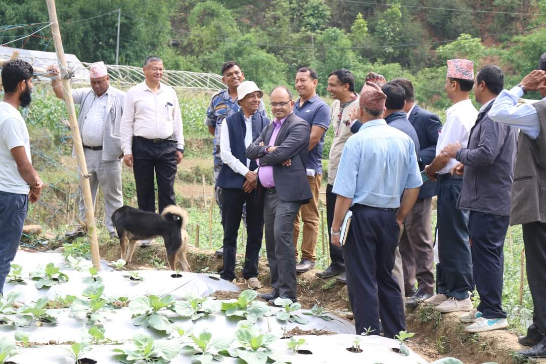 मासु, दुध र तरकारीमा आत्मनिर्भर बन्दै अर्घाखाँची