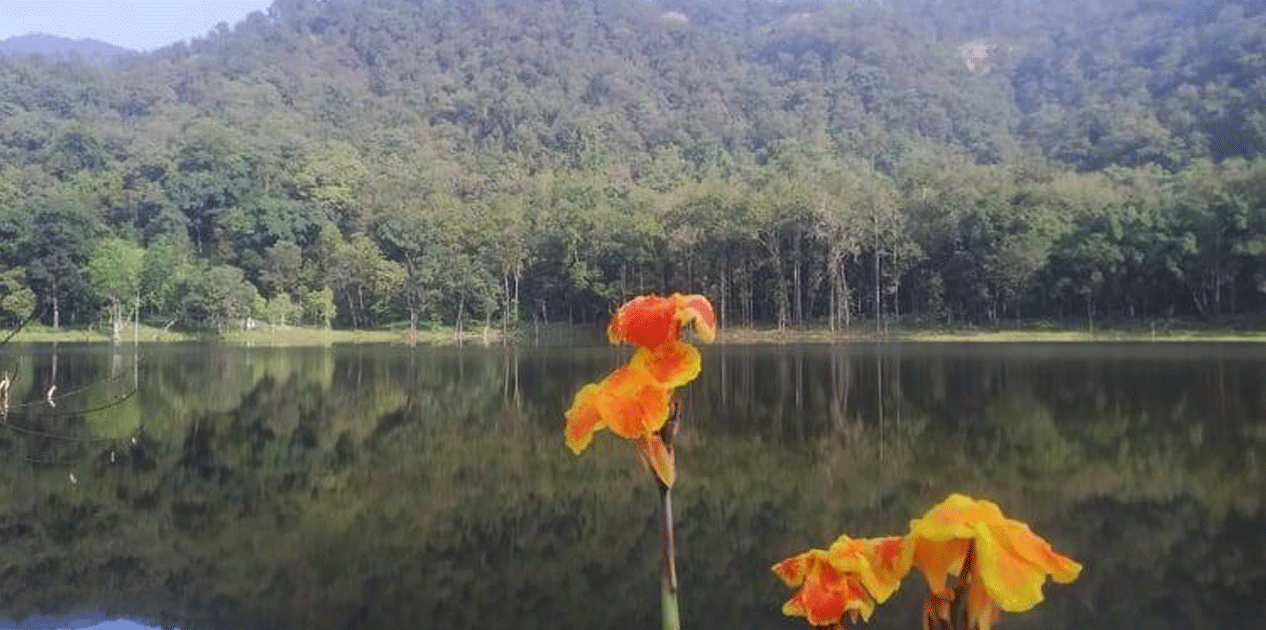 आहा ! आलिताल