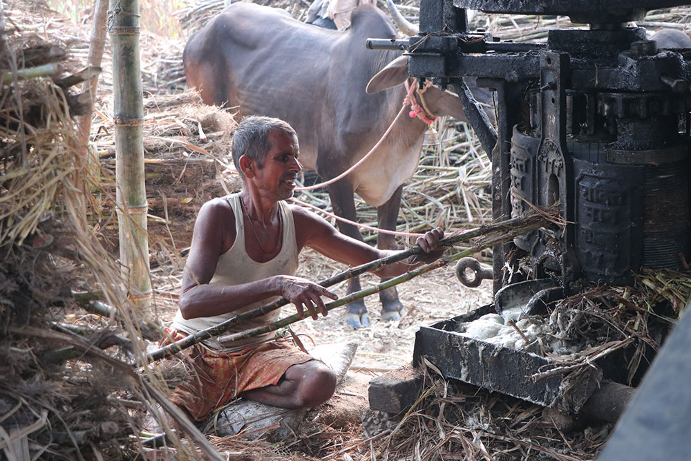 ‘सख्खर जस्तै गुलियो व्यापार’