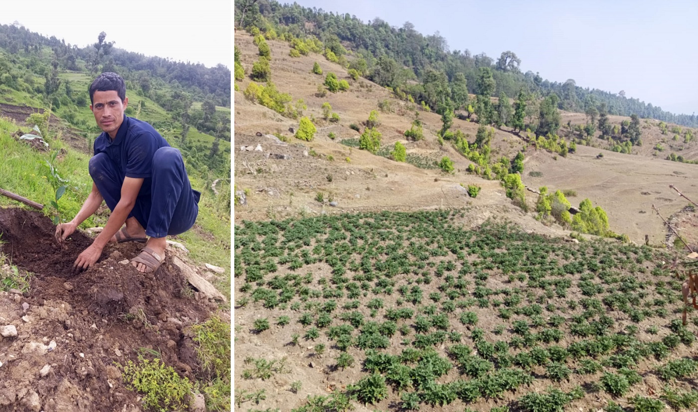 जसपा नेपालको राष्ट्रिय महाधिवेशन मञ्च हावाहुरीले भत्कायो