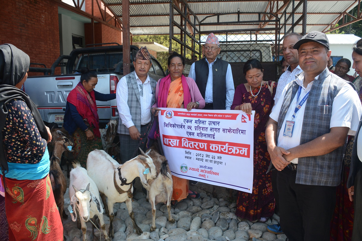 एकल महिलालाई ७५ प्रतिशत अनुदानमा बाख्रा