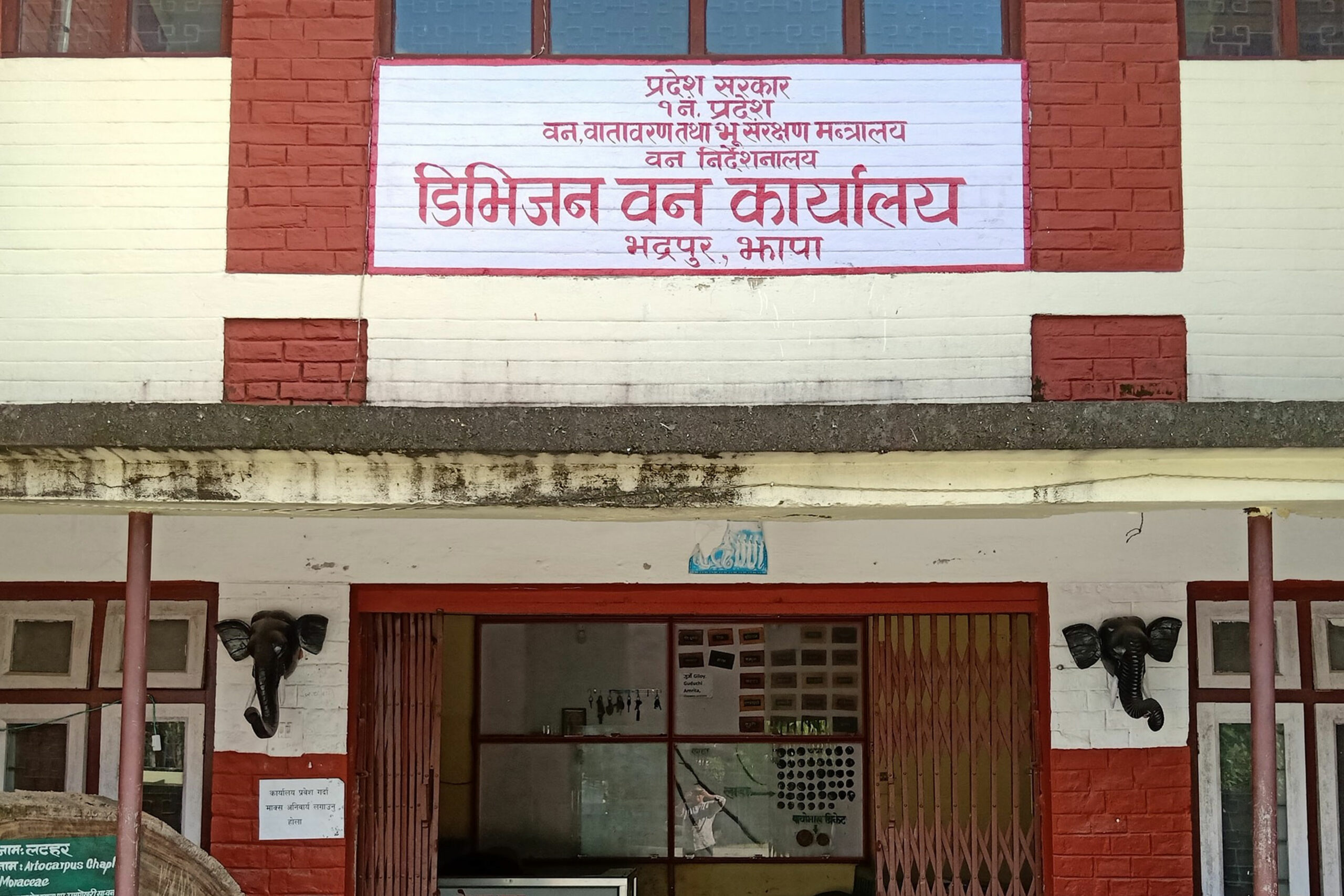 झापा वन कार्यालयमा दुई लाखभन्दा बढी बिरुवा उत्पादन