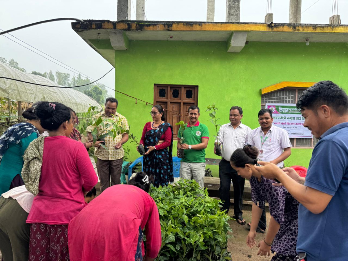सहकारीको पहलमा वातावरणमैत्री नमुना गाउँ