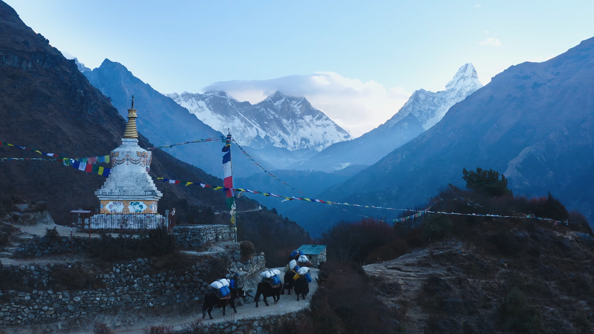 ‘एट द टिपिङ पोइन्टः आर्ट एण्ड इकोलोजी फ्रम द रूफटप अफ द वर्ल्ड’ सुरु